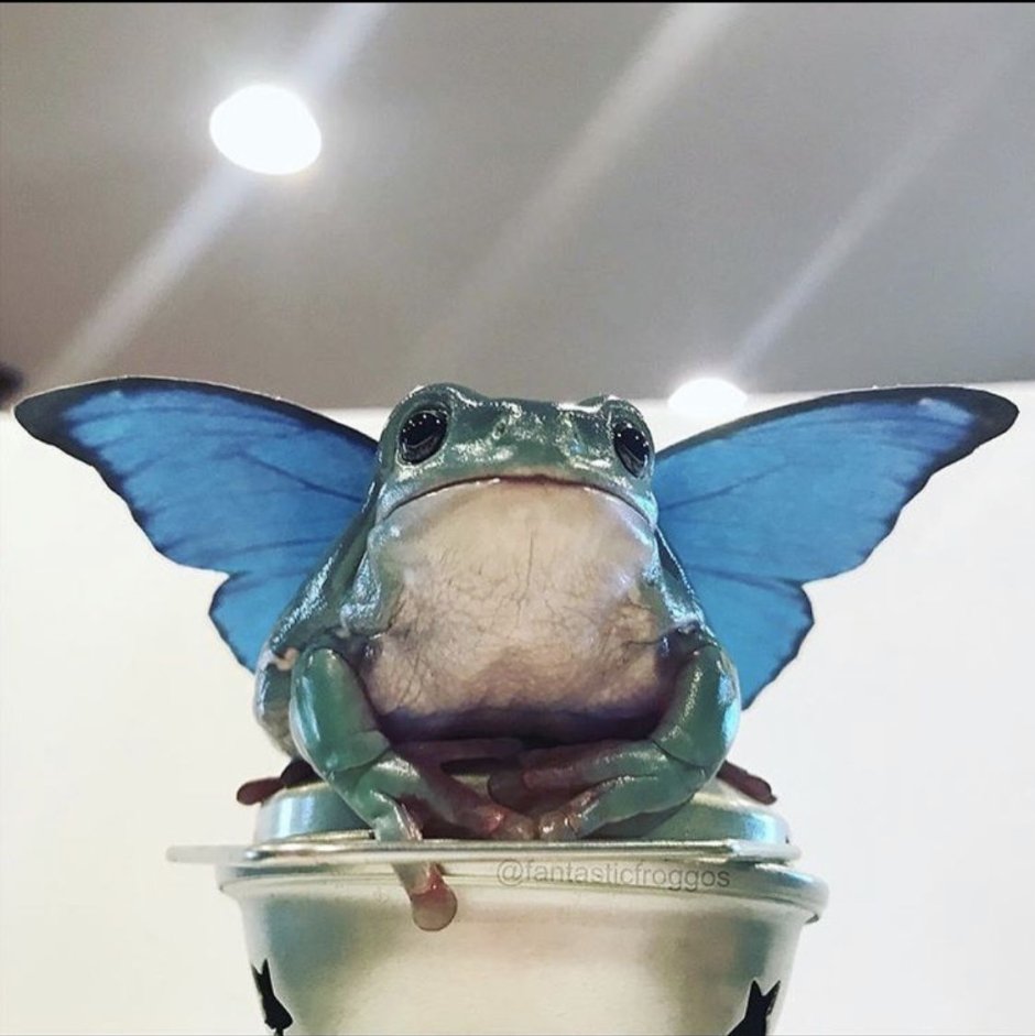 Морская полихета под микроскопом