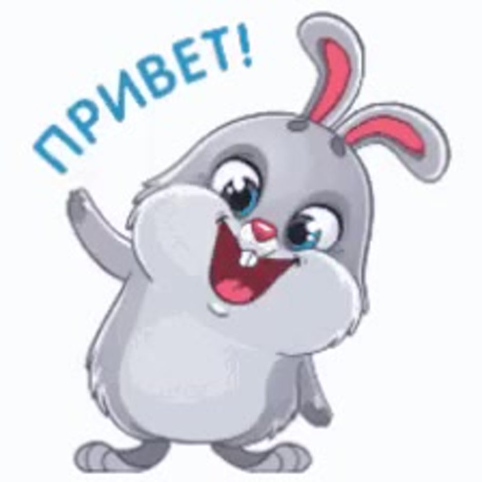 Привет зайчик