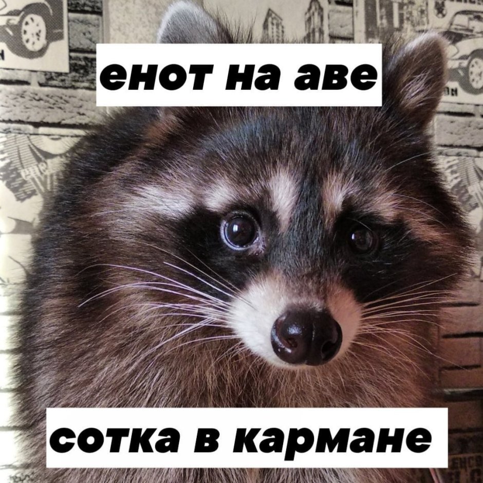 Круглая ава