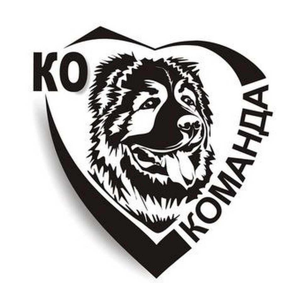 Кавказская овчарка серая