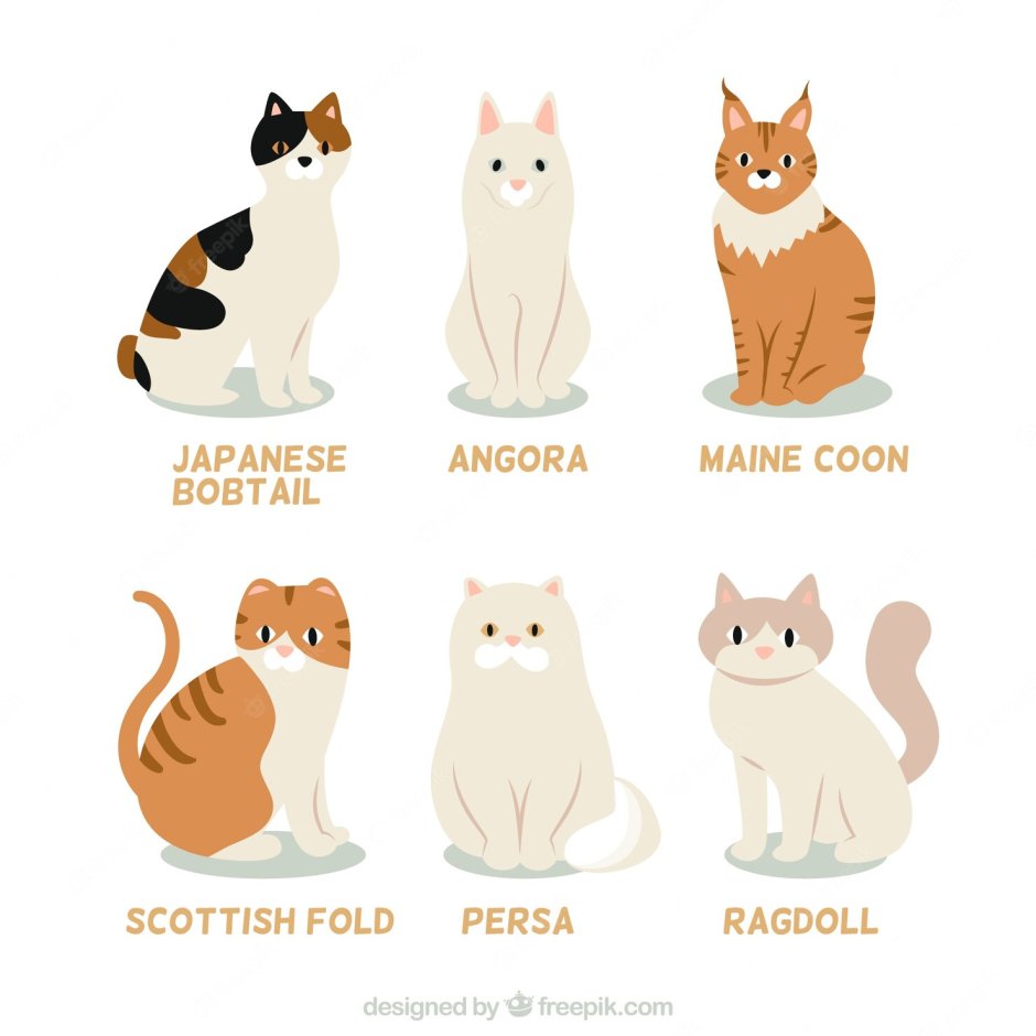 Коты разных пород вектор