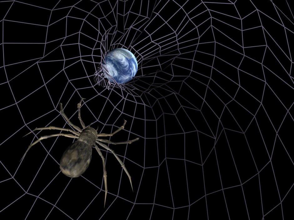 Паук на паутине
