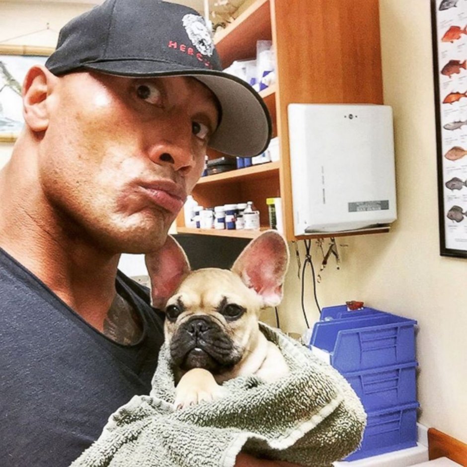 Амбуль серый