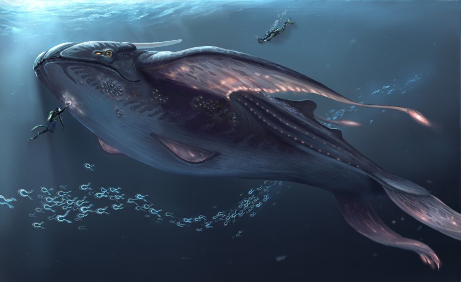 Subnautica кит Левиафан