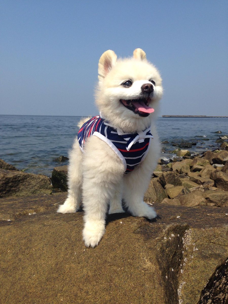 Мичиеда Шунсуке Инстаграм