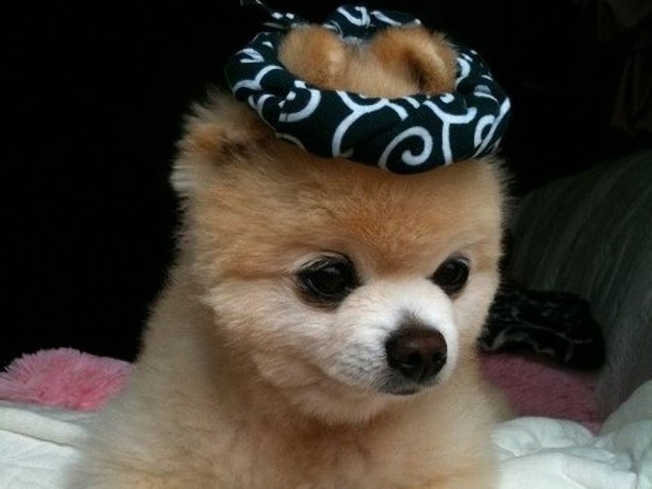 Шунсуке Томиясу