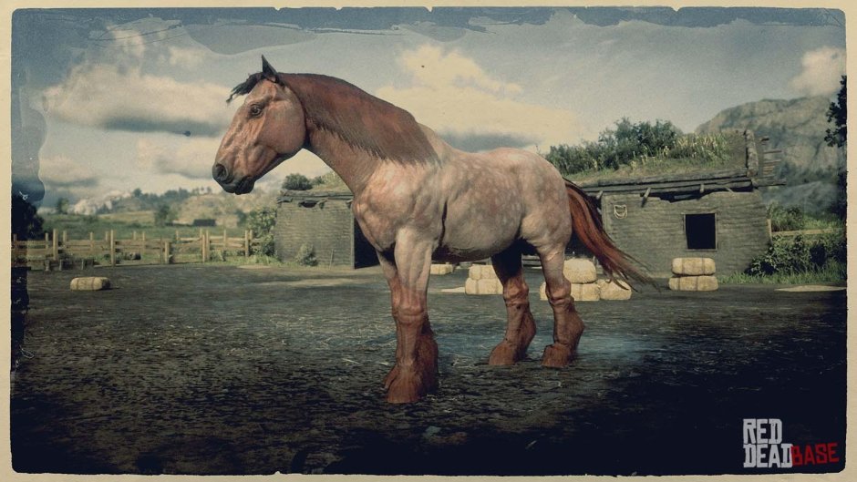 Арденская лошадь rdr2