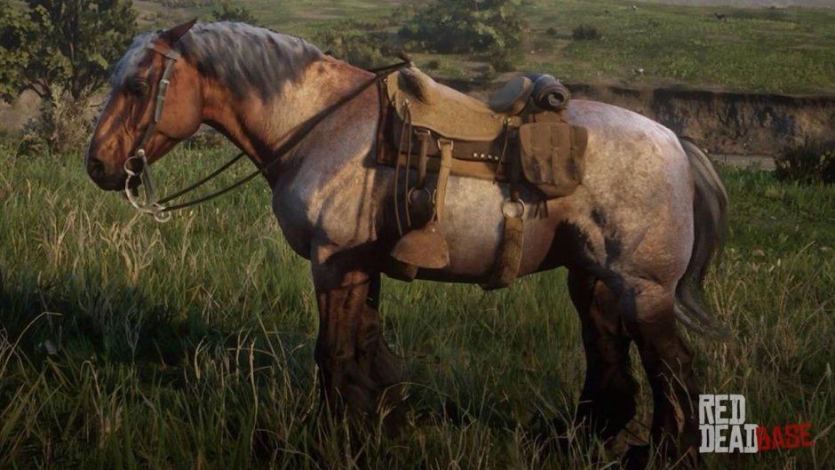 Red Dead Redemption 2 венгерская лошадь
