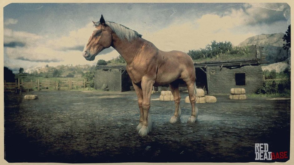 Бельгийская лошадь rdr2