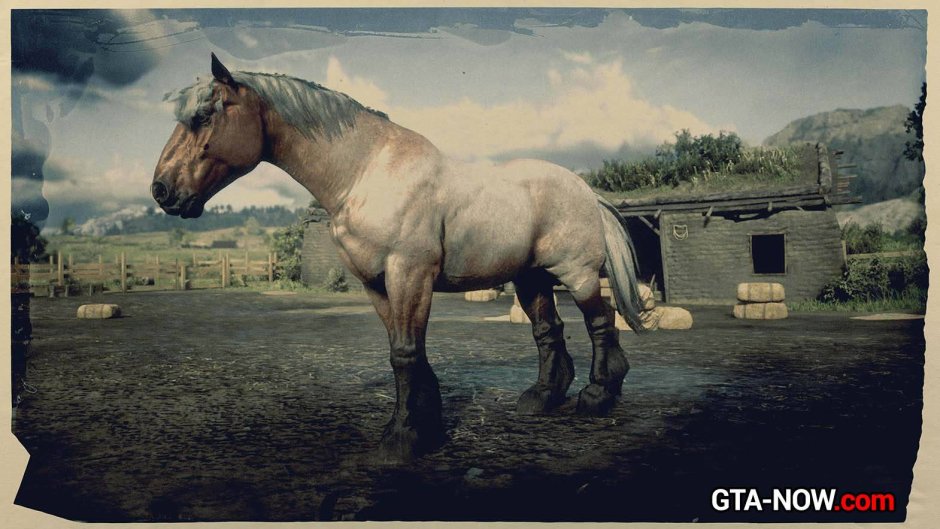 Арденская лошадь rdr2