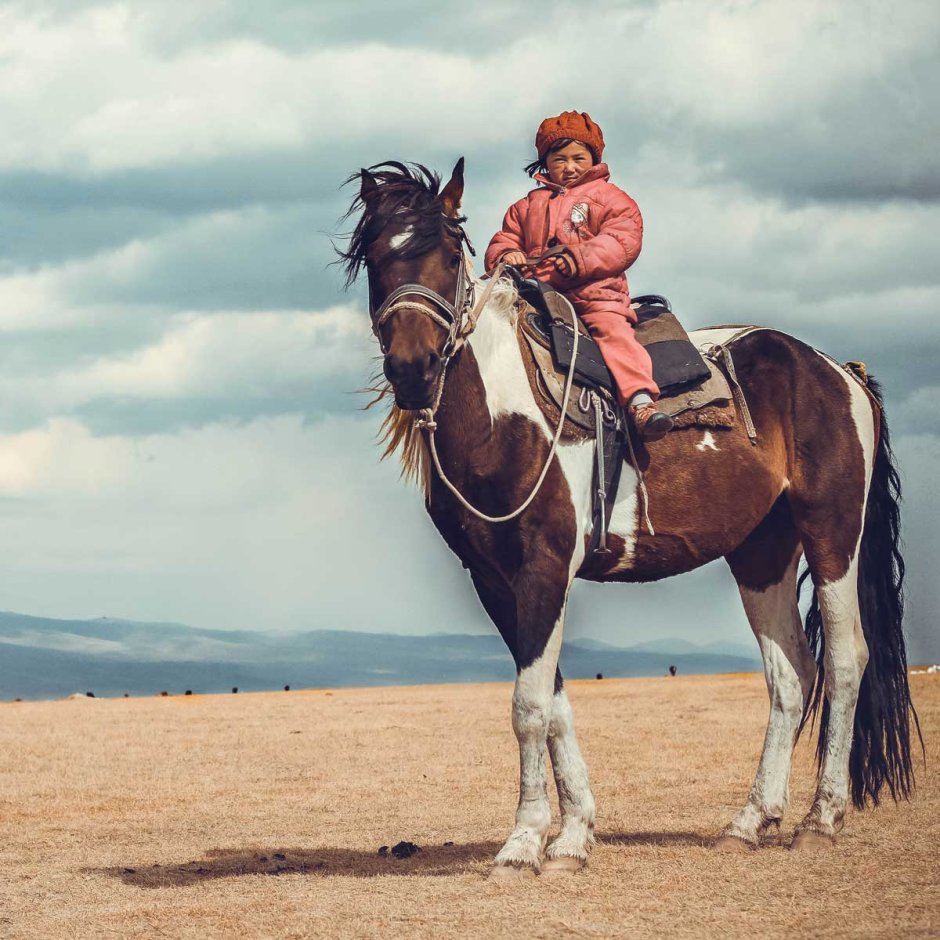 Silk Road Explorer
