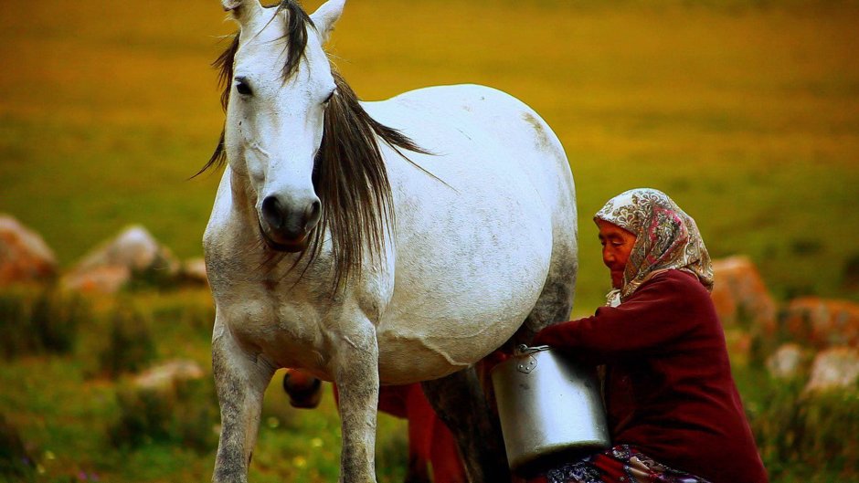 Ата Мекеним