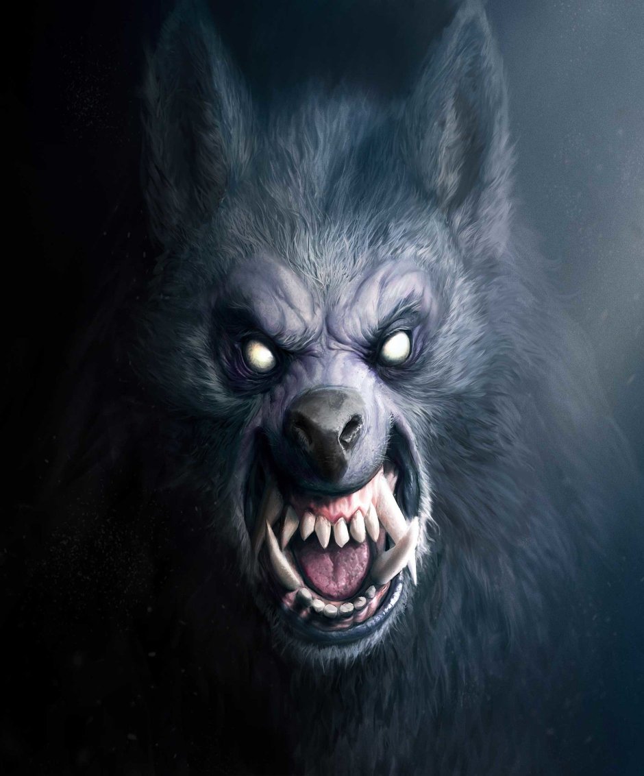«Оборотень - a Werewolf boy» АРИМЕ
