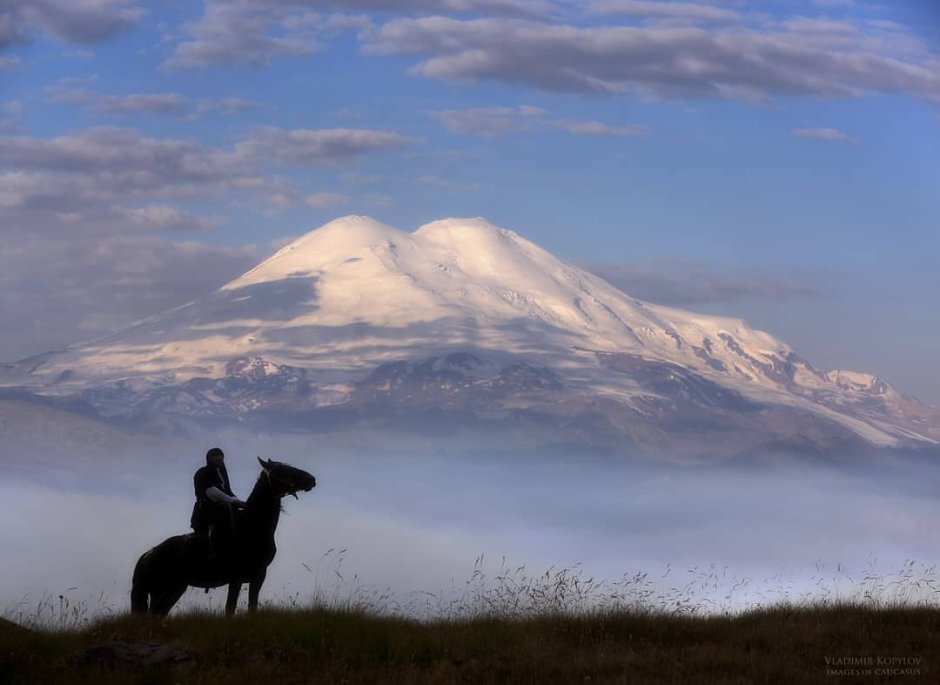 Кабардино Балкария лошади джигит