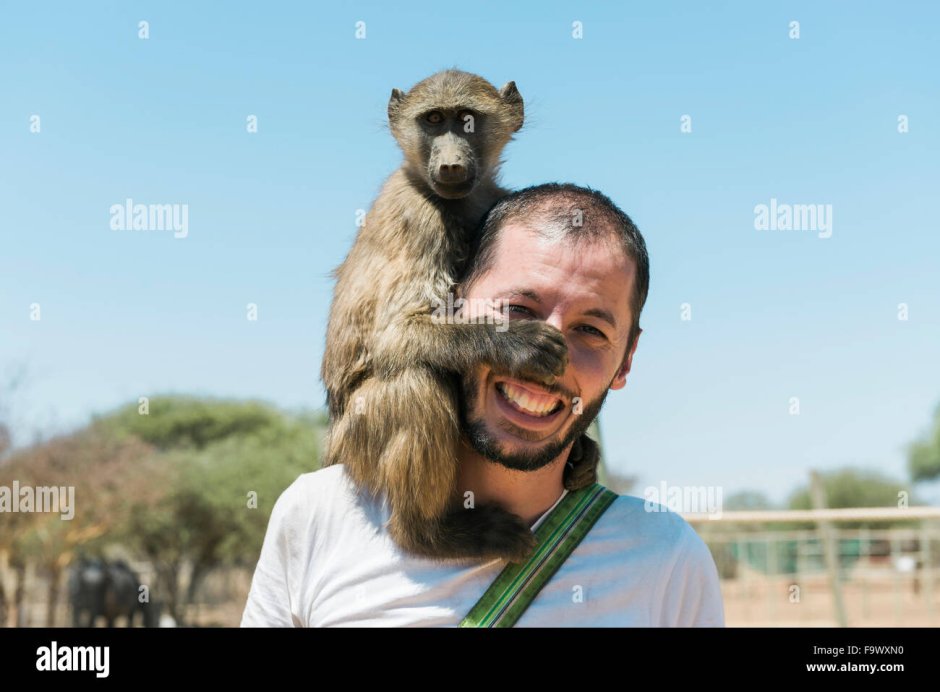 Dawn of the Planet of the Apes Цезарь