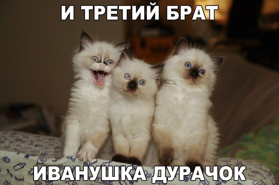 Всегда есть друг который испортит фотографию
