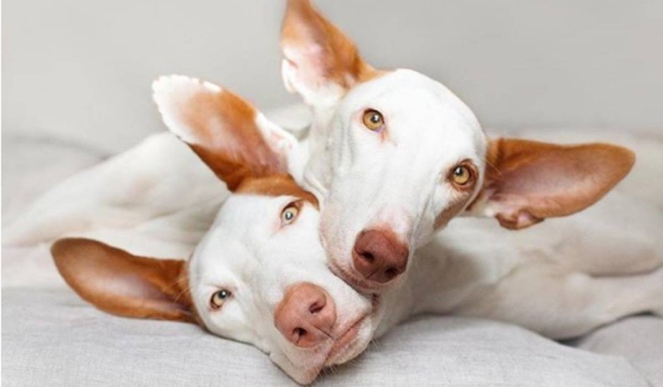 Поденко Миша в Краснодаре