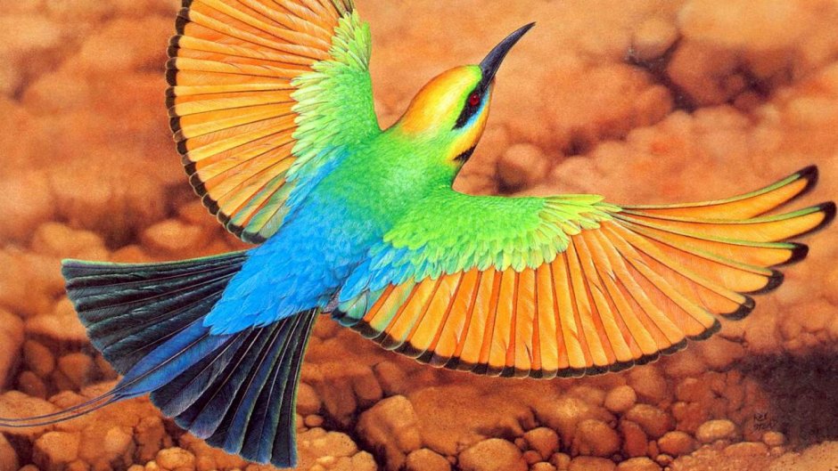 Яркие птицы