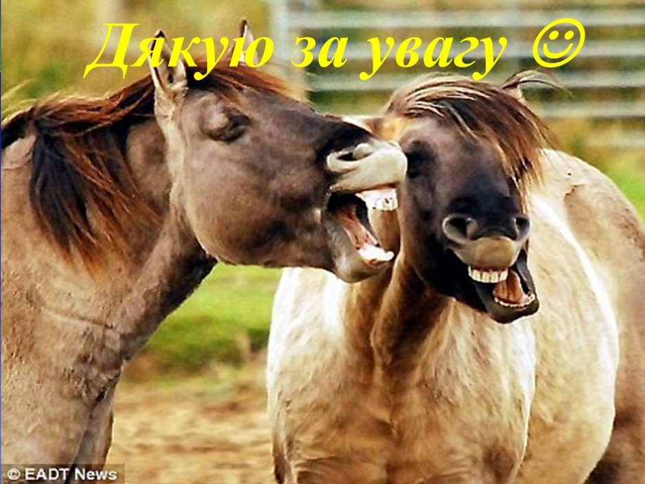 Смех лошади
