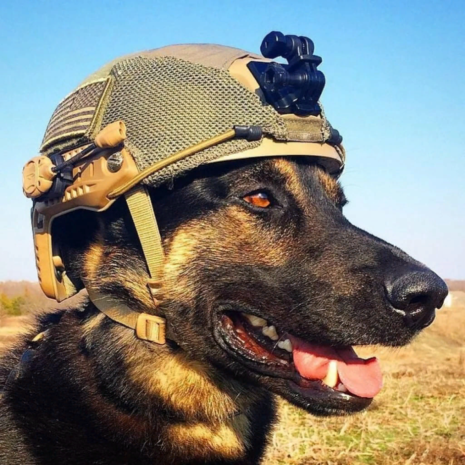 K9 овчарка Army