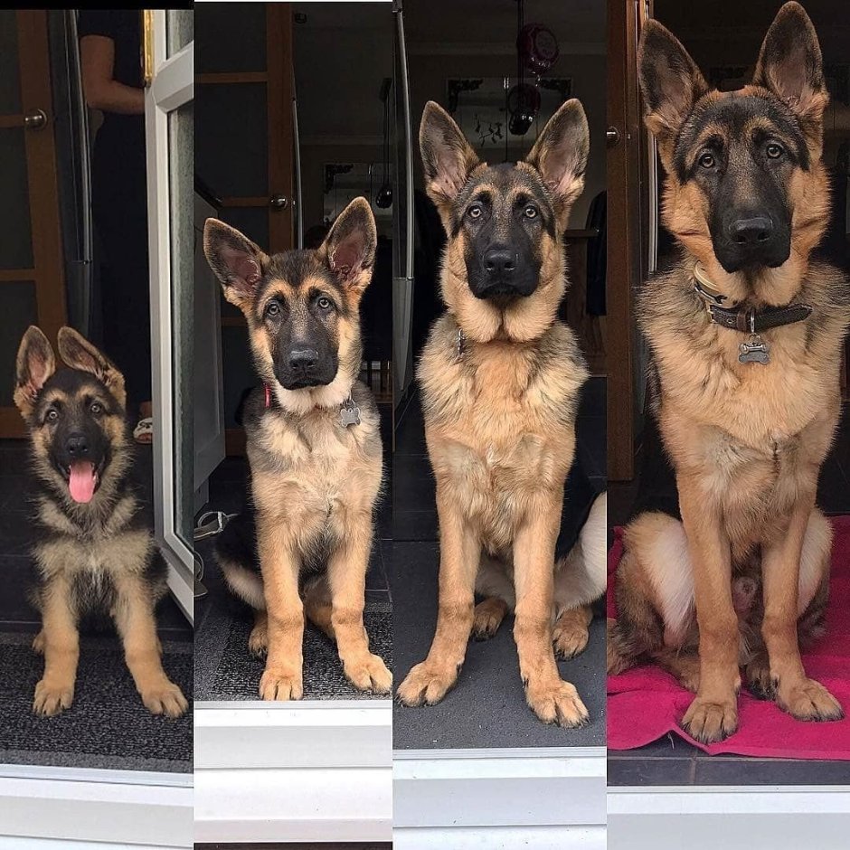 Апчалка ИТ