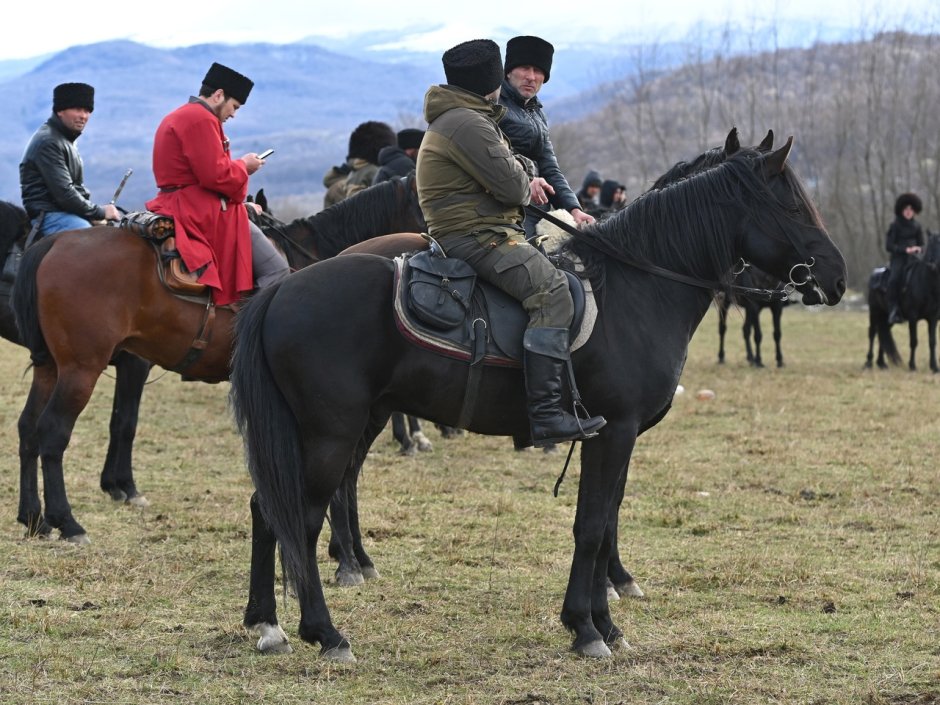 Кабардино Балкарская лошадь