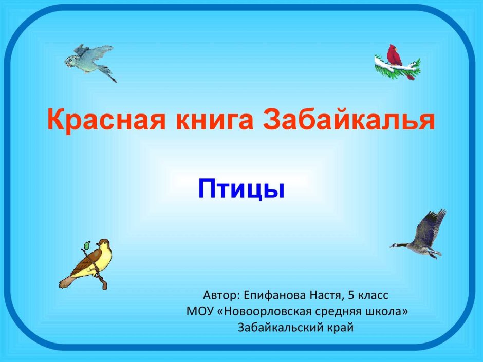 Красная книга Забайкалья птицы