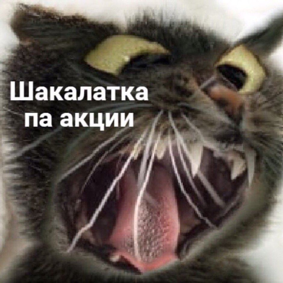 Смешной волк