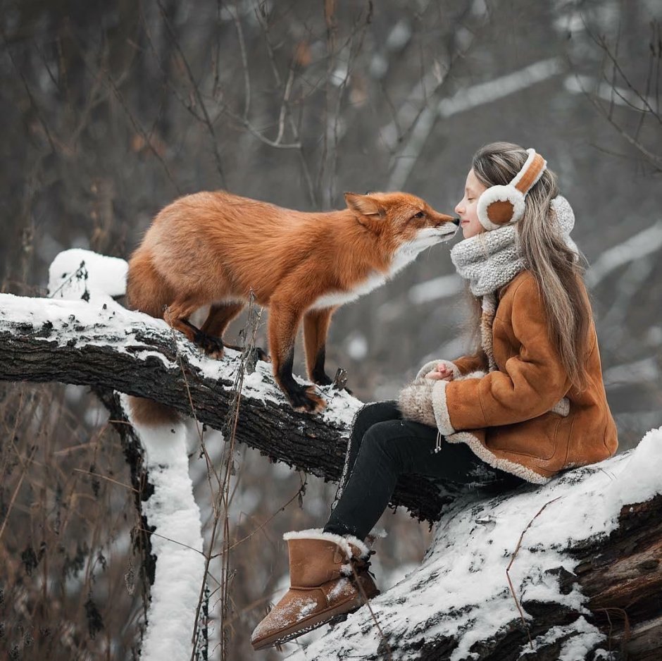Зима животные