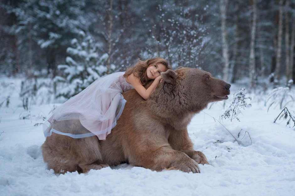 Дикие животные Сибири