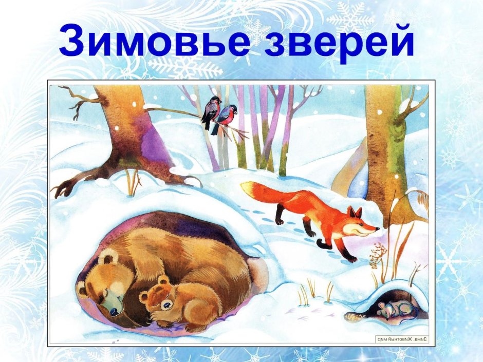 Анастасия волк