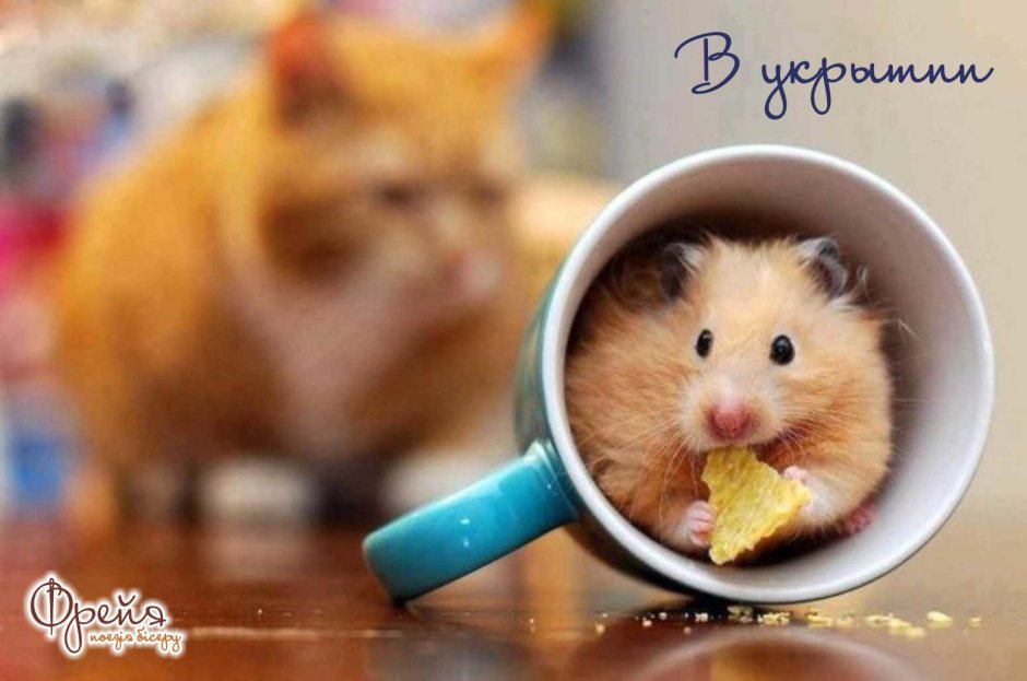 Мышь смеется