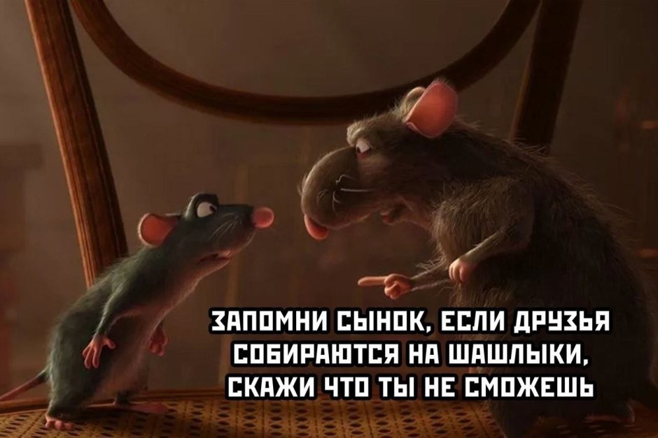 Посвящается крысам