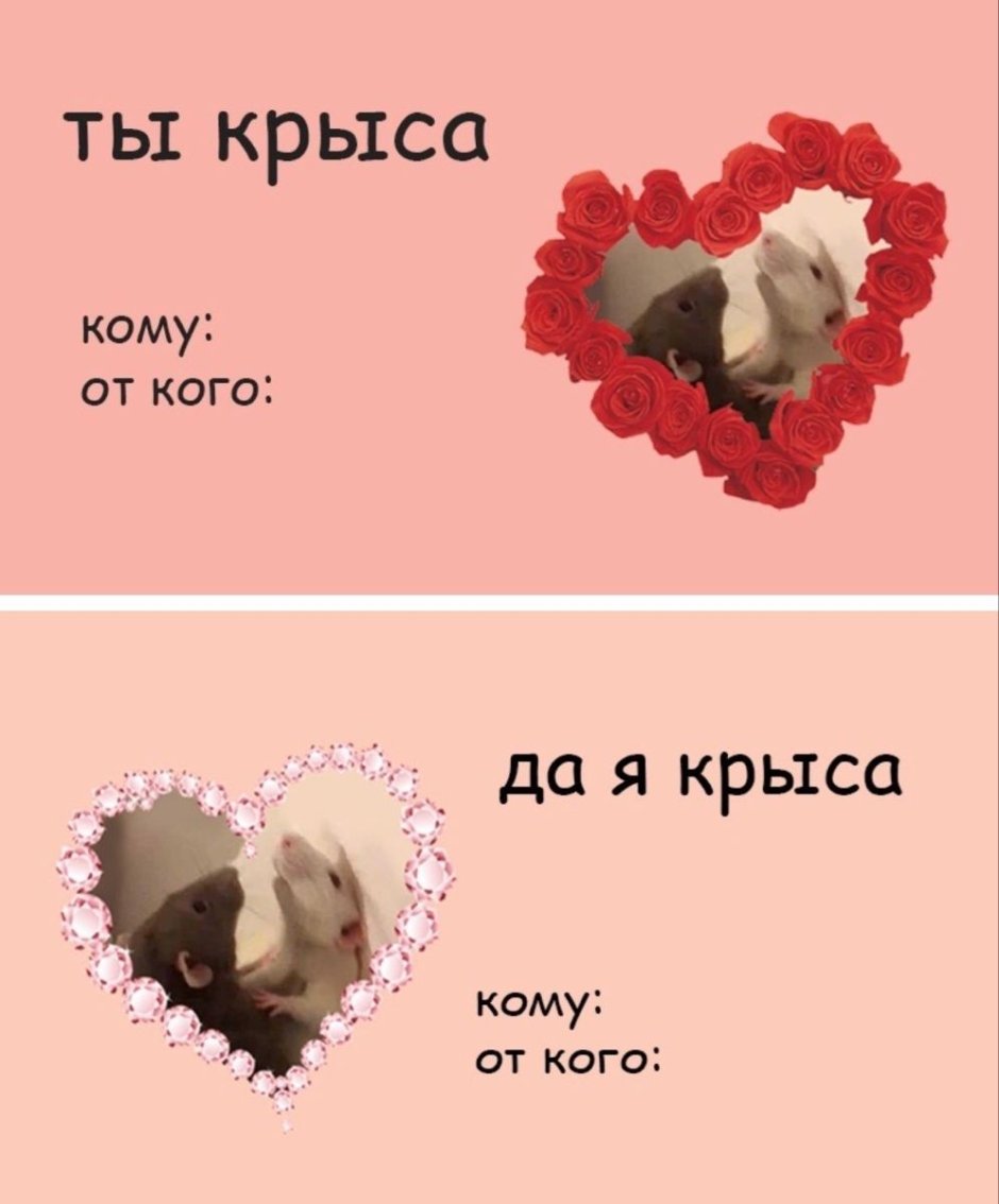 Валентинки с мемами на 14 февраля