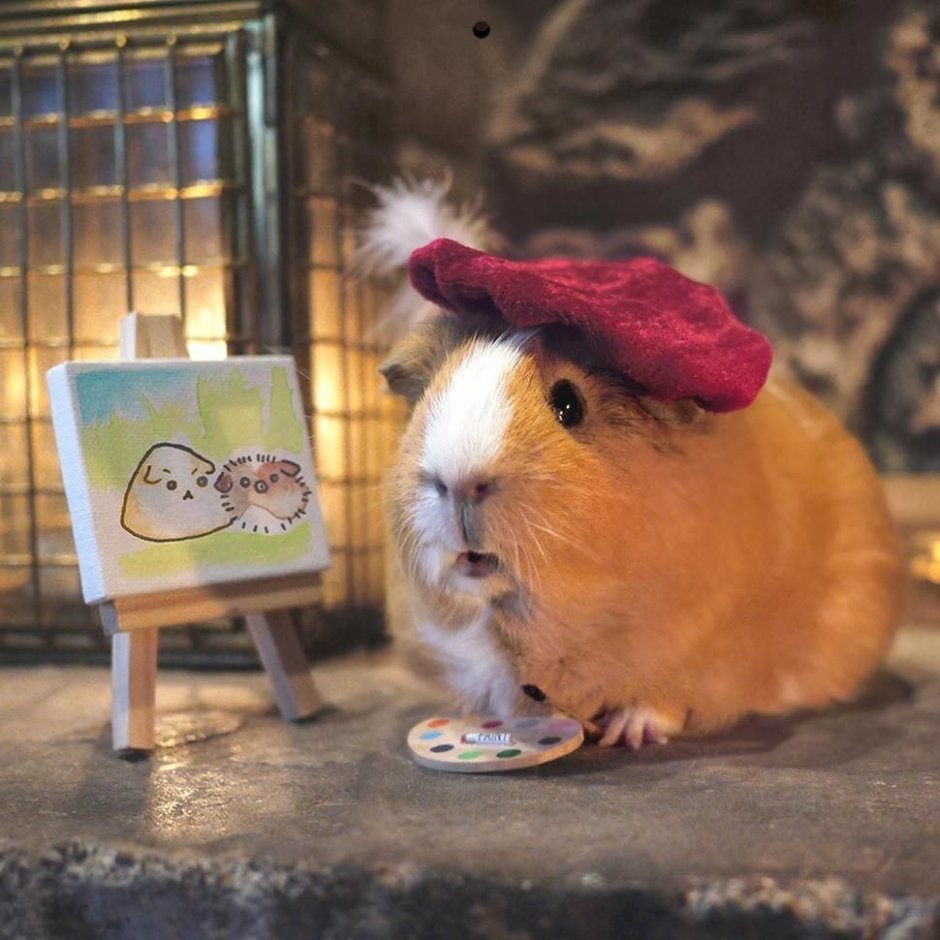 Хомяк на розовом фоне