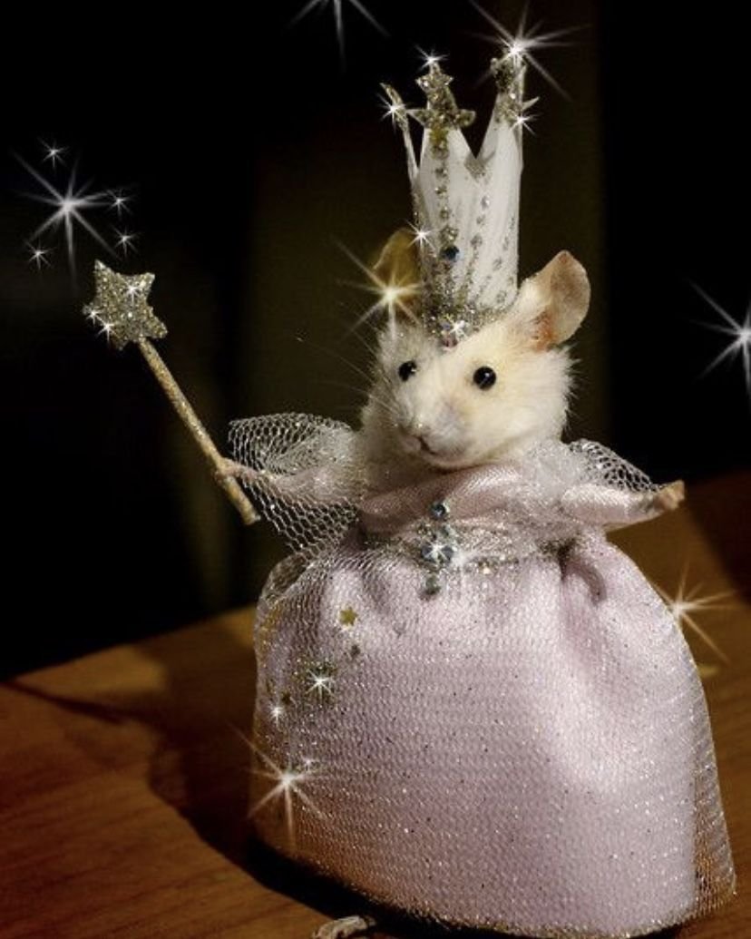 Мышь в платье