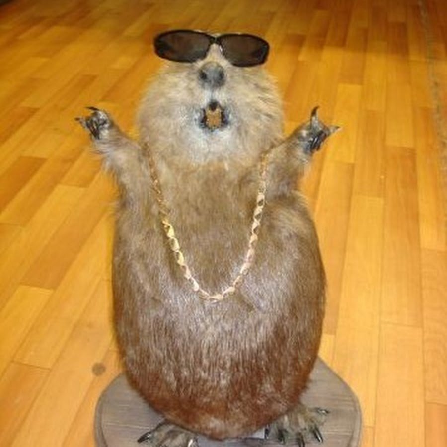 Упоротый бобер