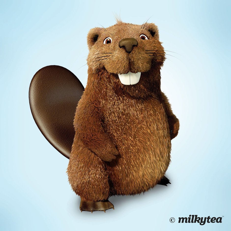 Смешные бобры