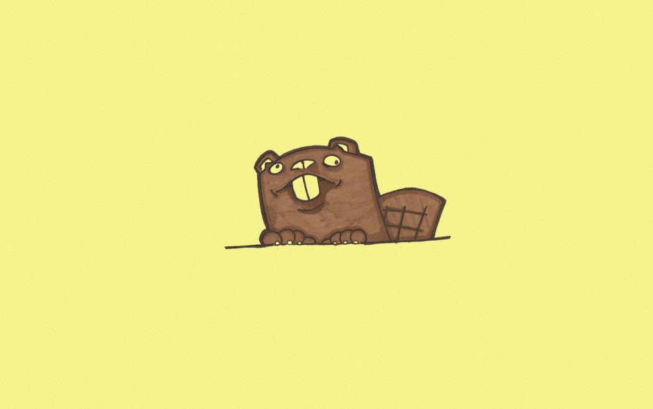 Кот Минимализм