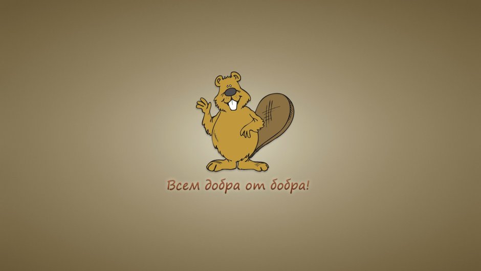 Выдра калан