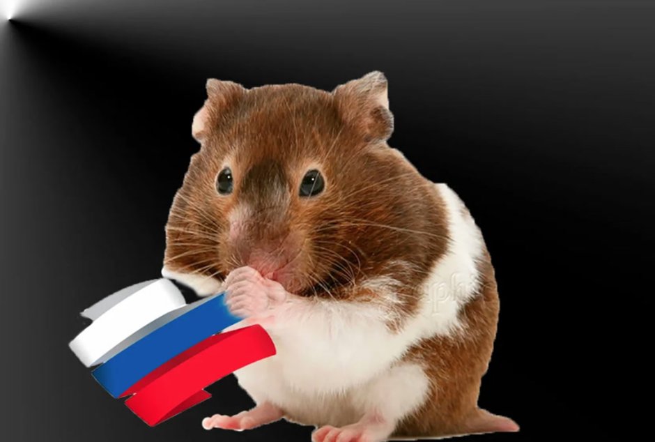 Хомяк с флагом России