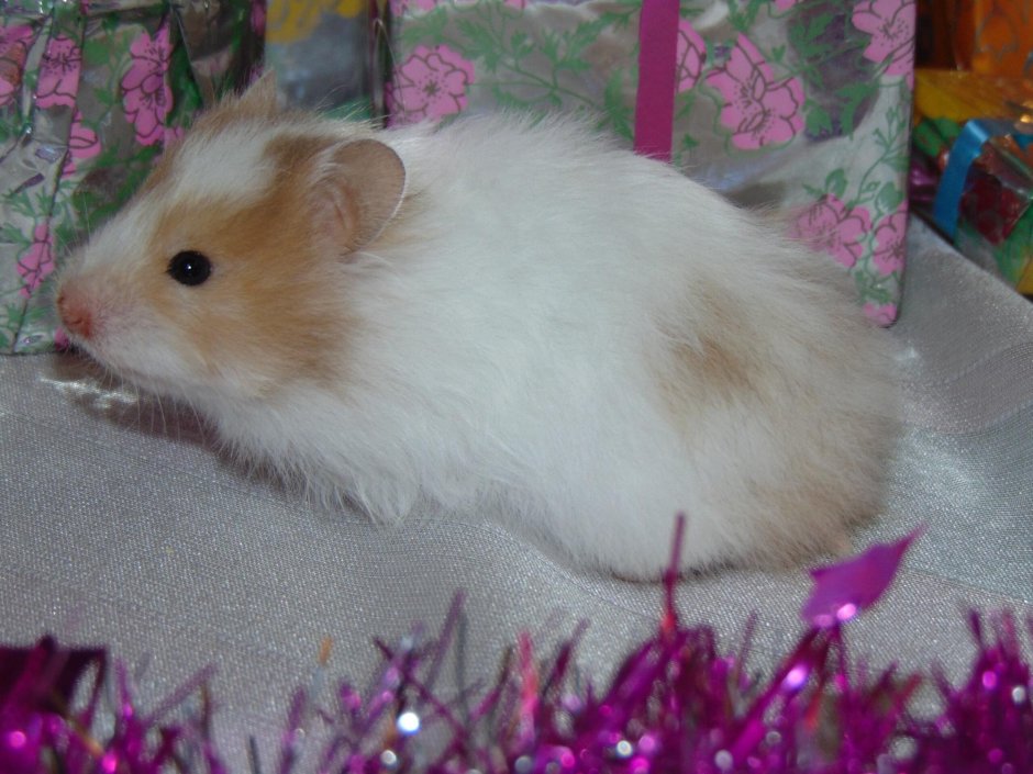 Я завтра встану пораньше помою голову красиво оденусь