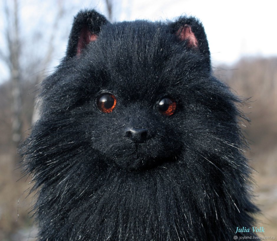 Черный шпиц игрушка