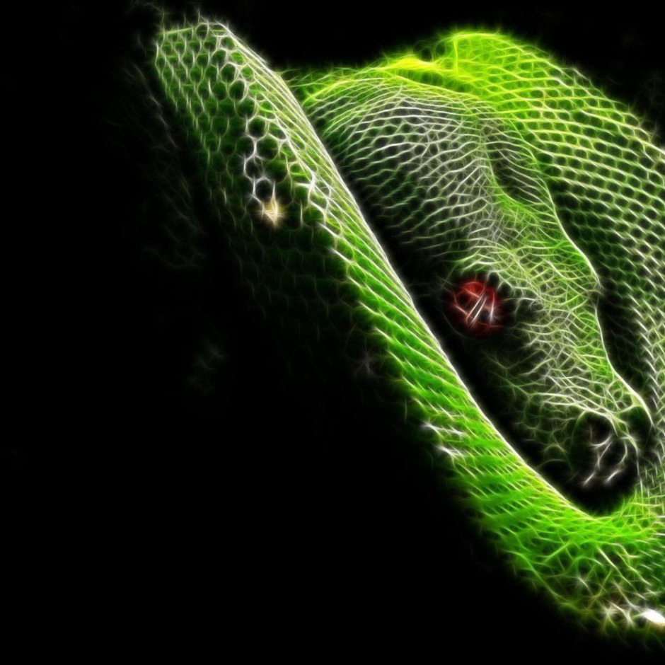 Тапочки Razer Snake Snake
