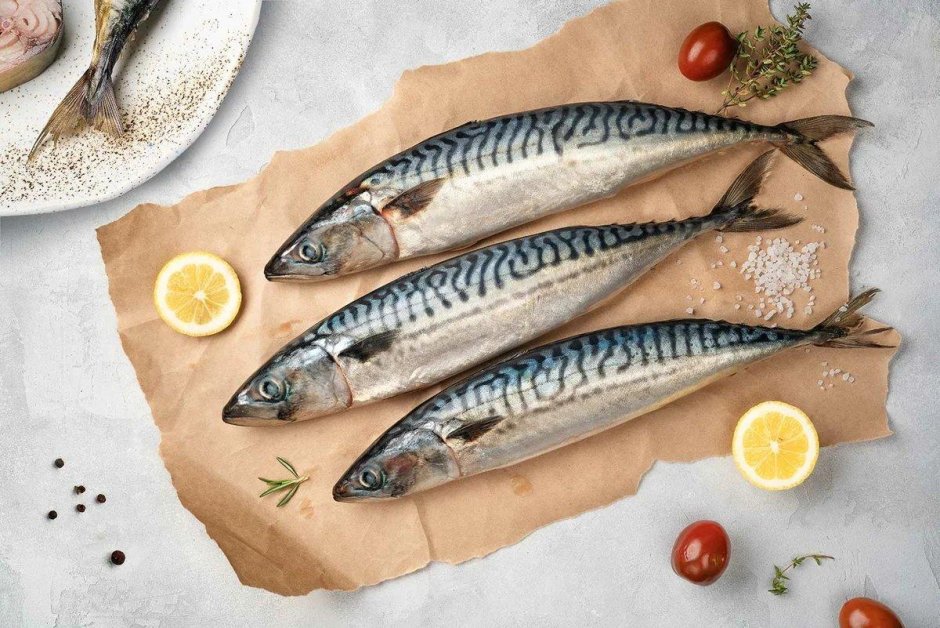 Рыба скумбрия свежемороженая