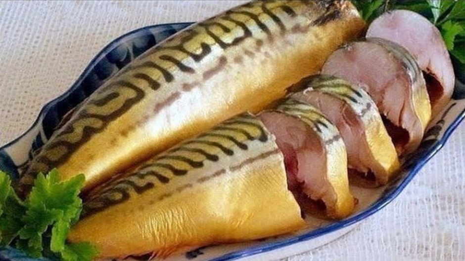 Скумбрия семейство макрелевых