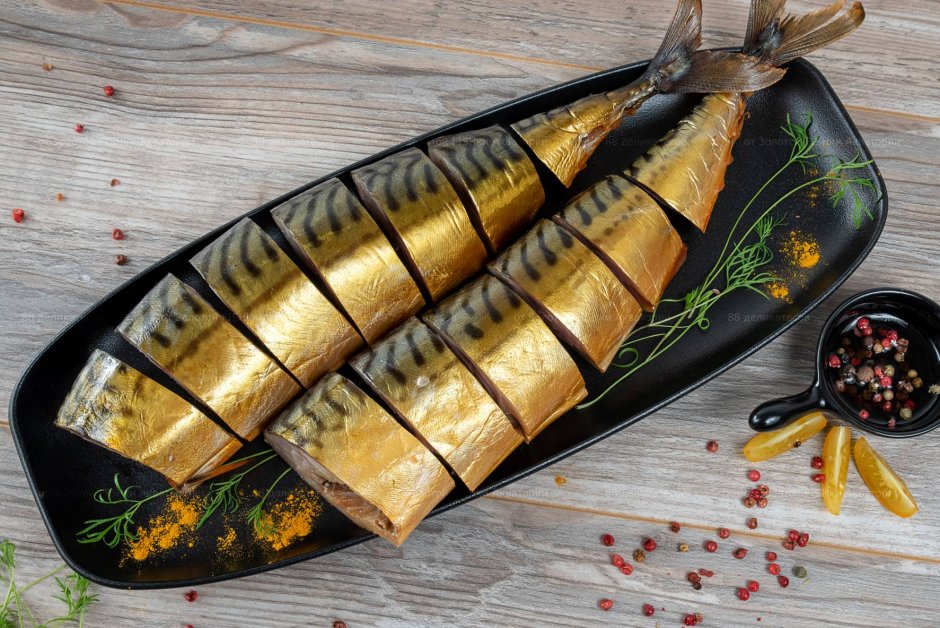 Скумбрия кустарник