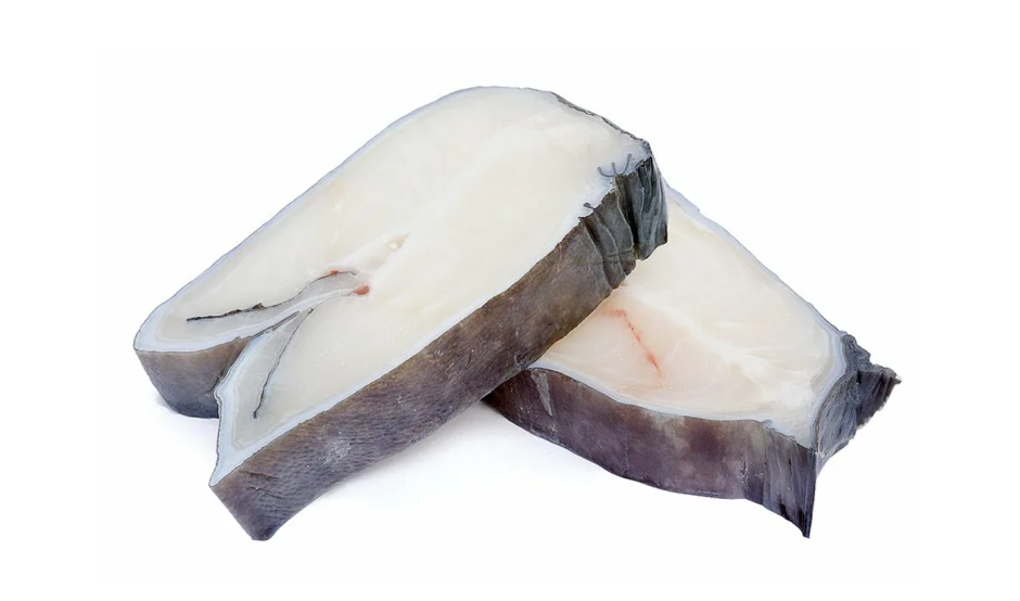 Рыба траира рыба-волк