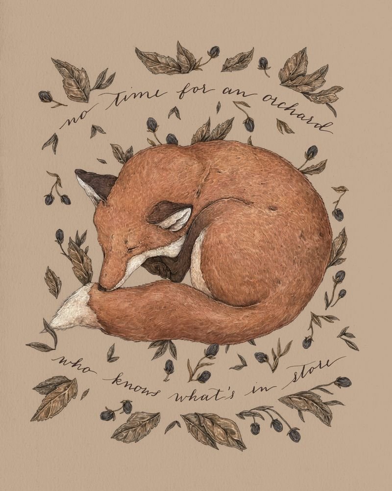 Лиса спит клубочком