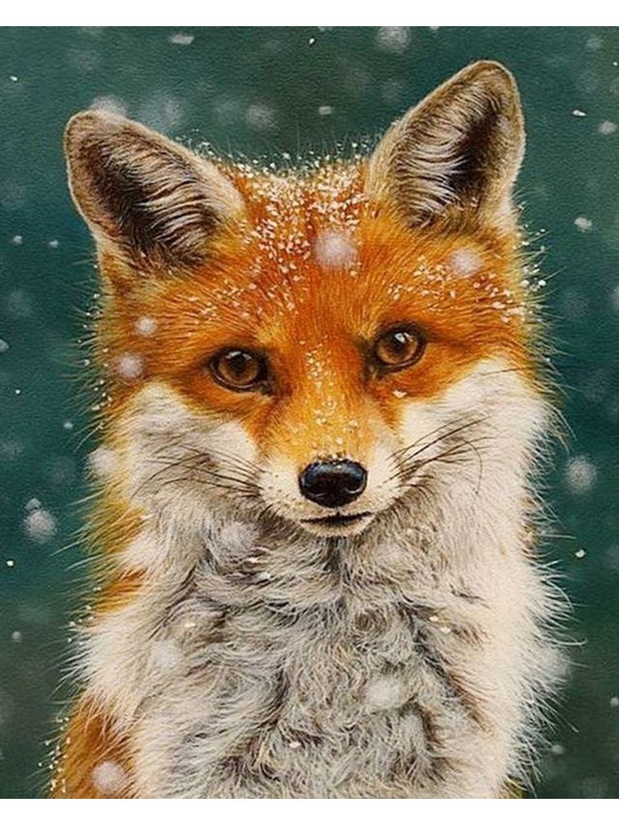 Гламурная лиса